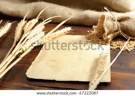 Piece of old paper with wheat ears background. Shallow DOF