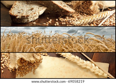 Banners - Wheat and Bread, Shallow DOF