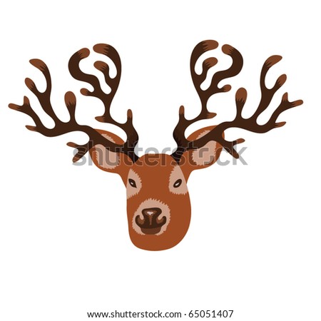 Doe Deer Head