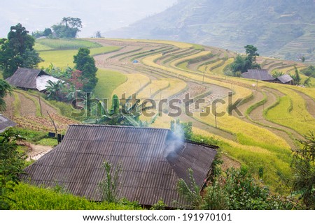 Smoke rising from house of ethnic in northwest, Lao Cai, Vietnam.  Terraces in harvesting field is around.