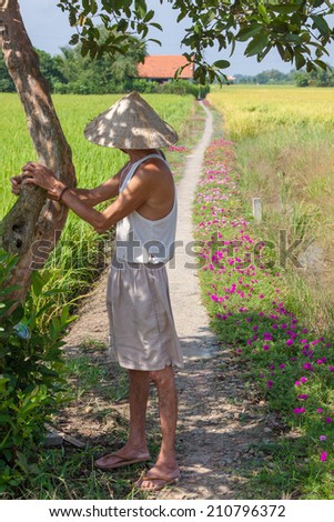 Unidentified farmer standing under the tree on the way into his house. The rice filed around the house and flowers full way.
