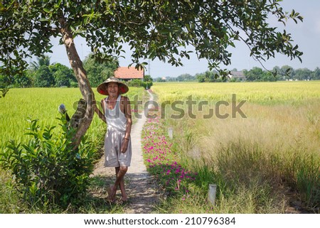 LONG AN, VIETNAM - NOV, 24: Unidentified farmer standing under the tree on the way into his house. The rice filed around the house and flowers full way. On NOV, 24 - 2014, Long An province, Vietnam.