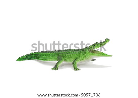 alligator green