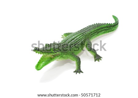 alligator green