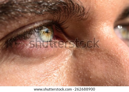 Close-up shot of man\'s eye. Man with blue eyes.