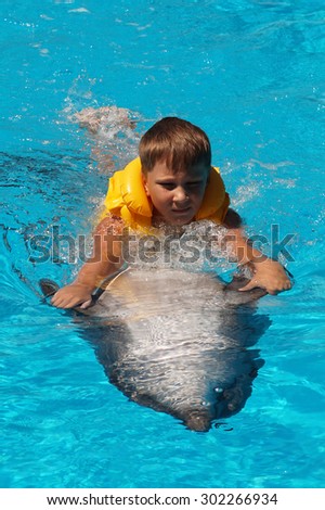 The boy swimming with dolphin