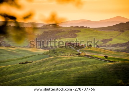 Tuscany, sunset over the green and golden hills, lonely farmhouse
