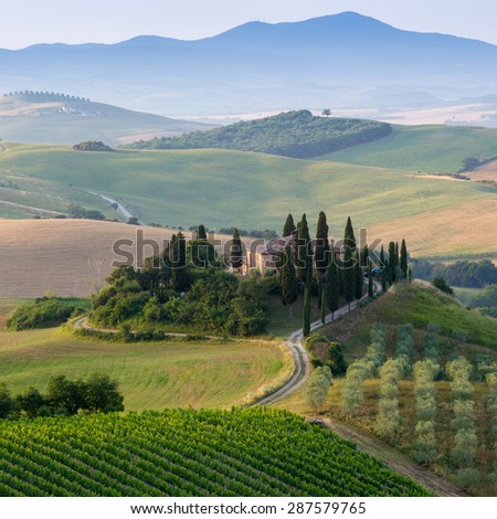Tuscany, amazing country landscape with green and golden meadow hills, olive trees and agriturismo farmhouse