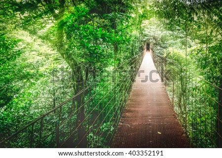 Monteverde Cloud Forest, Hanging bridge, Canopy Tour. Costa Rica