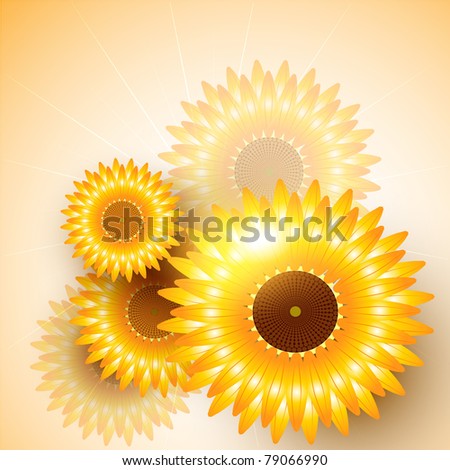 beautiful vector sunflower background design