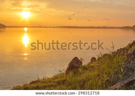 Birds fly to sunrise