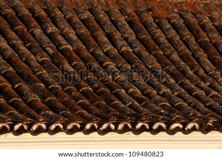 Tile roof of old house with plants and moss