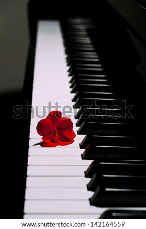 Piano with a red flower