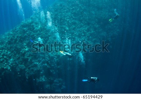 A group of underwater divers is waiting for decompression and moving along the reef in the Red Sea, Egypt. There are a lot of bubbles and blue water background.