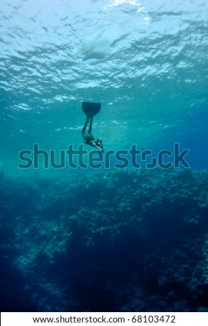 The freediver moves underwater near the coral reef at the depth of Blue Hole. Read Sea, Egypt.