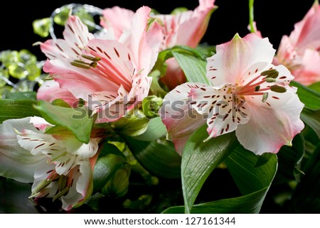 Bouquet of pink lilies with artificial amber branch on a black background, macro