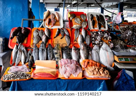 Still life with different types of fresh fish, fresh fish in Lima Peru.