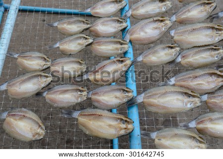 dried salted fish bask in the sun, food preservation in Thailand