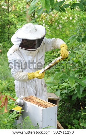 BOISSISE LE ROI - FRANCE, MAY 2014 : beekeeper who is checking the state of his hives