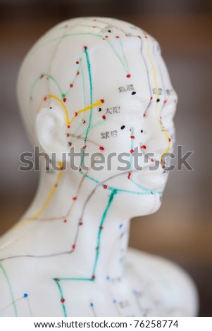 Chinese acupuncture dummy.