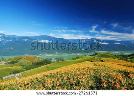 daylily in the mountain with beautiful cloudscape background \
\
(Chinese Mother\'s Day flower)