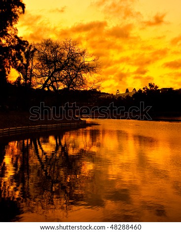 Tree reflection in lake at sunset with dramatic sky