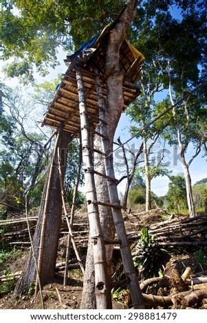 A tree house at the top of a tree in a jungle of Kerala.