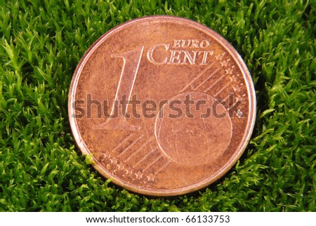 The lost coin lays on a moss. One euro cent on moss backgrounds