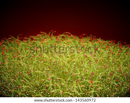 Cranberry thicket in the evening glow. Healthy lifestyle