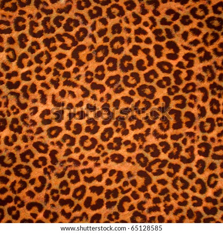 Leopard Background on Leopard Skin Background Or Texture  Large Resolution Stock Photo