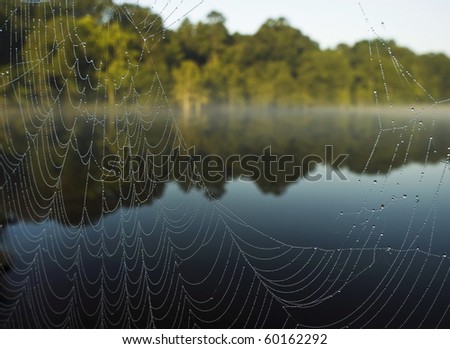 A river and tree line are framed by an orb spider\'s web glistening with dew.