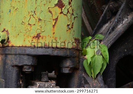 Plant growing around aged equipment