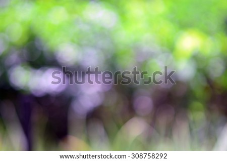 Abstract nice background of blurred tree with beautiful lens effect (De-focus photo)