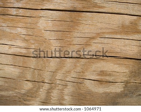 Stock macro photo of the texture of cracked wood.  Useful as a layer mask or background.
