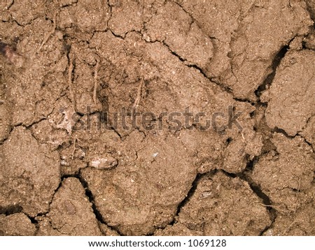 Stock macro photo of the texture of dry, cracked earth.  Useful for layer masks and backgrounds.