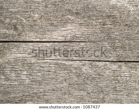 Stock macro photo of the texture of wood grain.  Useful for backgrounds or layer masks.