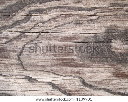 Stock macro photo of the texture of wood grain.  Useful for abstract backgrounds and layer masks.