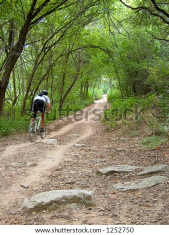A mountain biker speeding down a wooded trail.   There is slight motion blur on the biker.