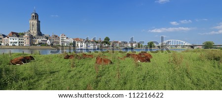 cows in a typical dutch landscape in front of the Dutch city of Deventer