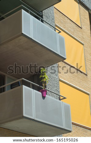 apartment balcony with a single plant