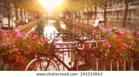 bicycle on a bridge with blooming flowers in TheHague, netherlands