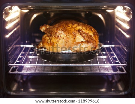 appetizing roast turkey and potatoes in the oven