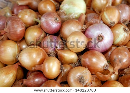 Fresh yellow bulb onions like food background