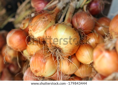 many yellow aromatic bulb onions like food background