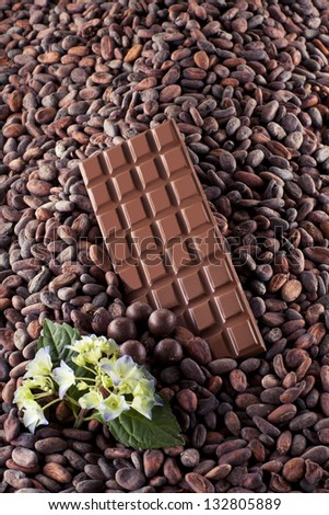 milk chocolate with flower is on cocoa beans background