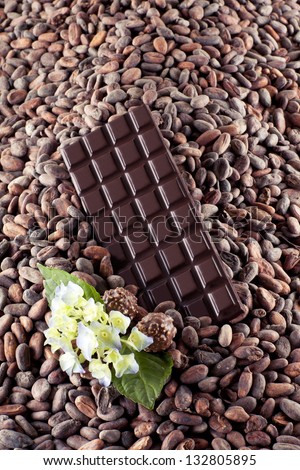 dark chocolate on cocoa beans background with flower
