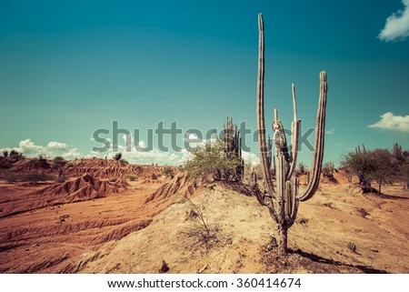 desert, cactus in desert, tatacoa desert, columbia, latin america, clouds and sand, red sand in desert, cactus