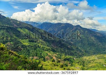 jungle in colombian green mountains, colombia, latin america