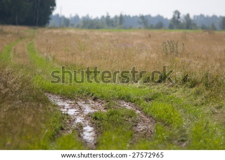 path in the field with puddle