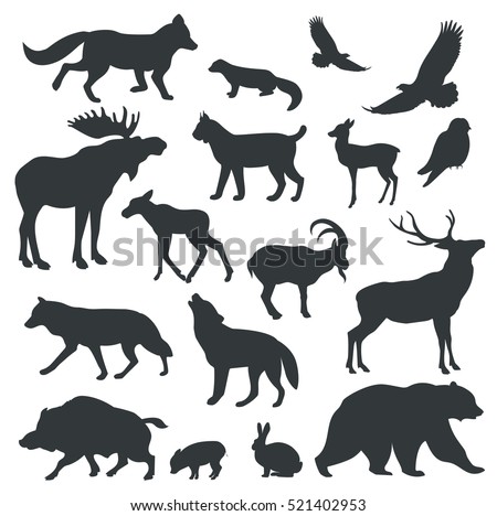 Collection of vector detailed silhouettes of forest animals